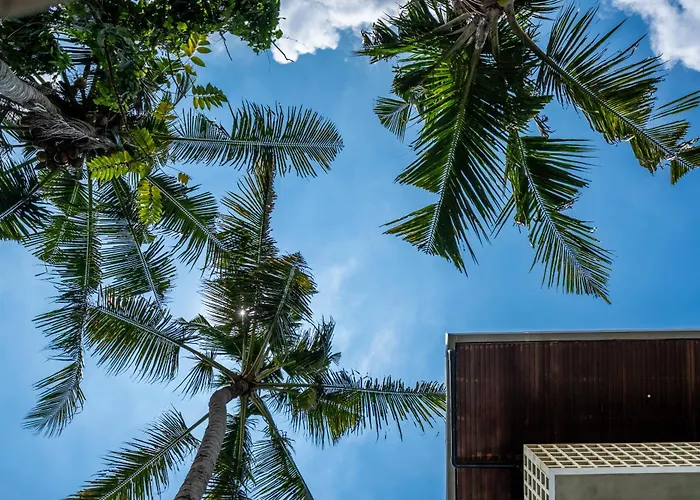 Work, And Unwind! Jungle Vista By Bcg