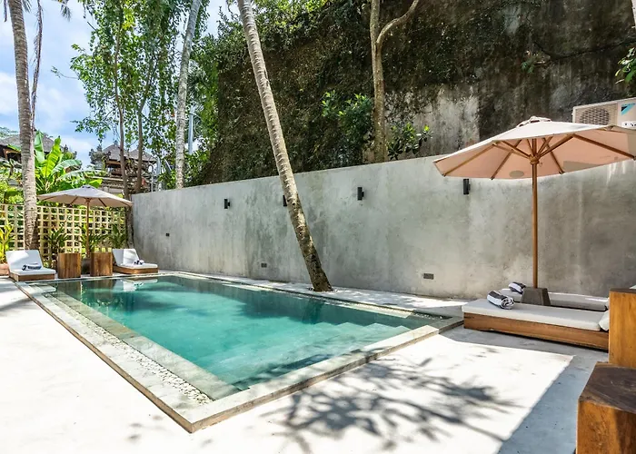 Work, And Unwind! Jungle Vista By Bcg *