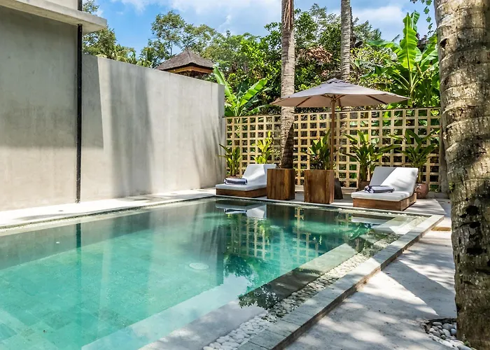 Work, And Unwind! Jungle Vista By Bcg Apartment Ubud
